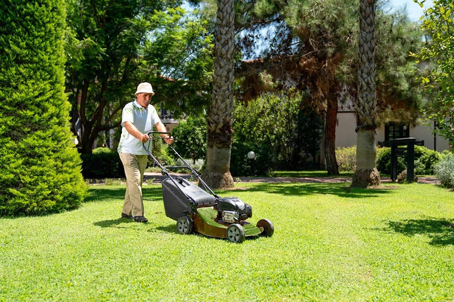 best corded electric lawn mower